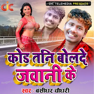 Bansidhar Chaudhary Image