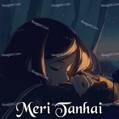 Meri Tanhai