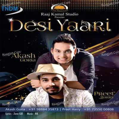 Desi Yaari Cover