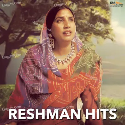 Reshman Hits Poster