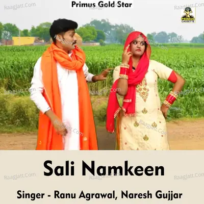 Sali namkeen