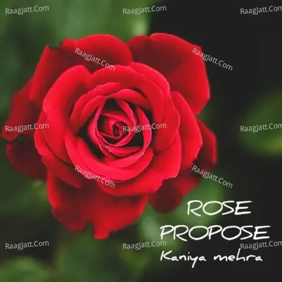 Rose Propose Cover