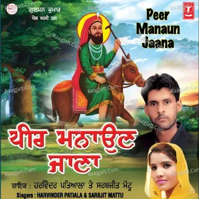 Peer Manaun Jaana Poster