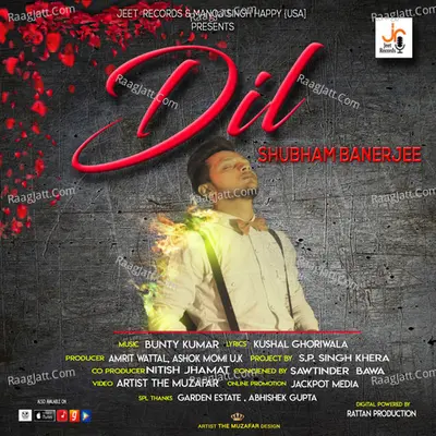 Dil Cover