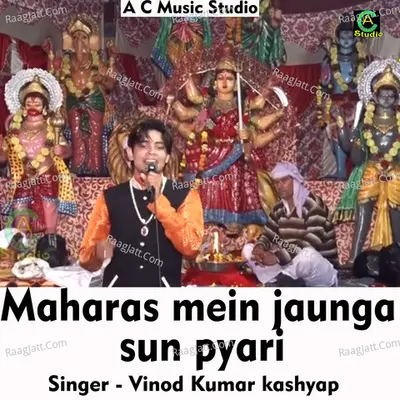 Maharas mein jaunga sun pyari Cover