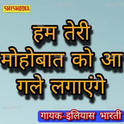 Hum teri mohabbat ko aa gale lagayenge