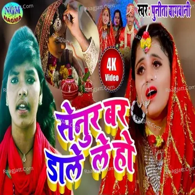 senur var dale ho Cover