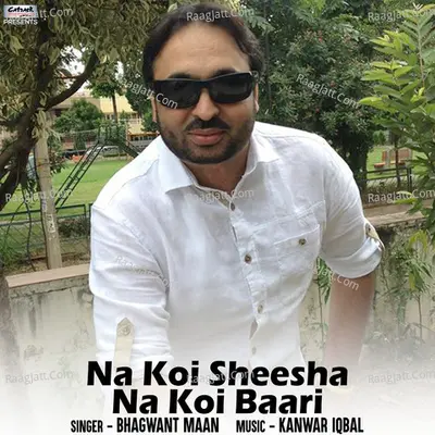 Bhagwant Maan Image
