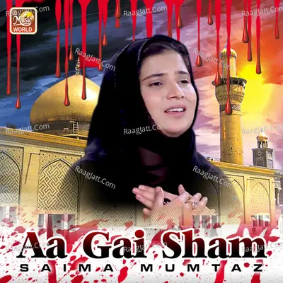 Aa Gai Sham Poster