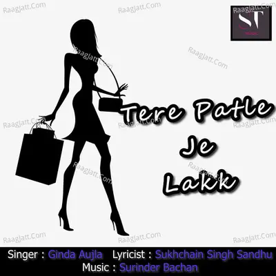 Tere Patle Je Lakk Cover