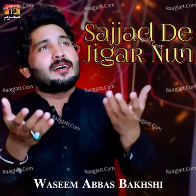 Sajjad De Jigar Nun - Single