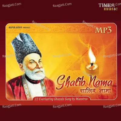 Ghalibnama Poster