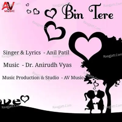 Bin Tere Cover