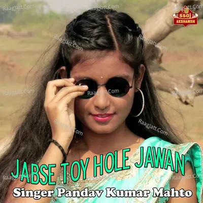 Jabse Toy Hole Jawan Cover