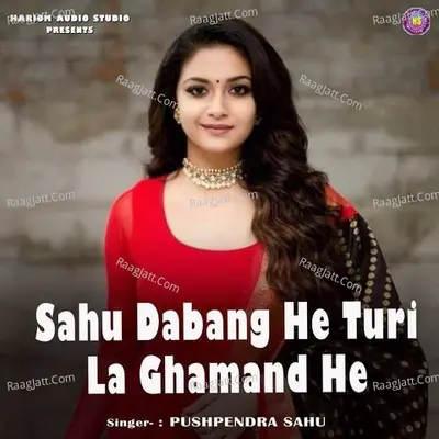 Sahu Dabang He Turi La Ghamand He Cover