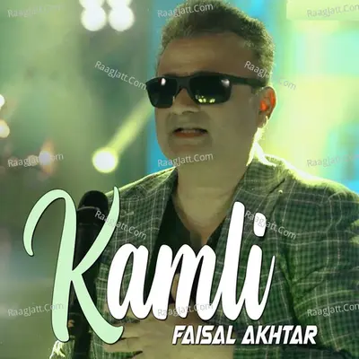 Faisal Akhtar Image