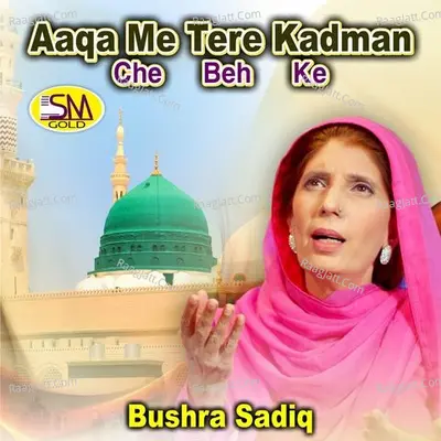 Aaqa Me Tere Kadman Che Beh Ke Cover