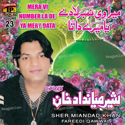 Mera Vi Number La De Ya Mery Data, Vol. 23 Poster