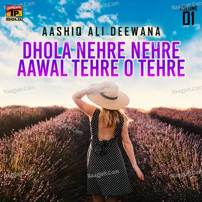 Dhola Nehre Nehre Aawal Tehre O Tehre, Vol. 1 - Aashiq Ali Deewana