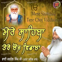 Mere Saahibaa Tere Choj Viddaanaa