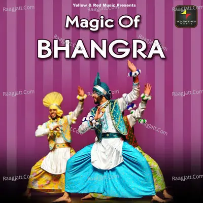 Magic Of Bhangra