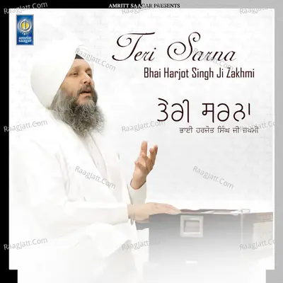 Teri Sarna Poster