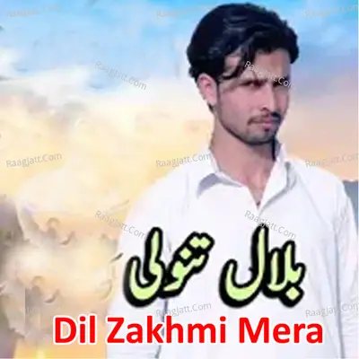 Dil Zakhmi Mera Poster