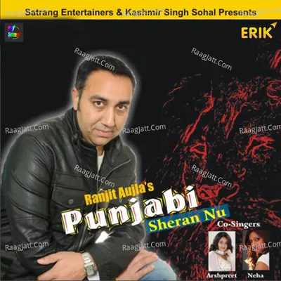 Punjabi Sheran Nu Poster