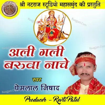 Ali Gali Baruwa Nache (Chhattisgarhi Jas Geet) Cover