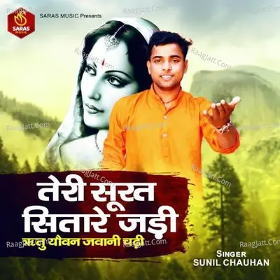 TERI SURAT SITARA JARDI Cover