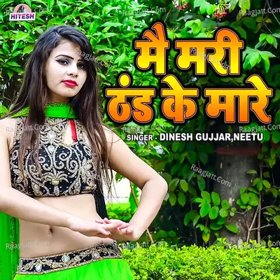 Mein Mari Thand Ke Maare Cover