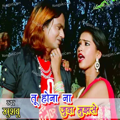 Tum Hona Na Juda Mujhse Cover