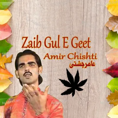 Zaib Gul E Geet Poster