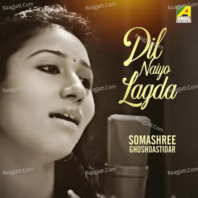 Dil Naiyo Lagda Cover