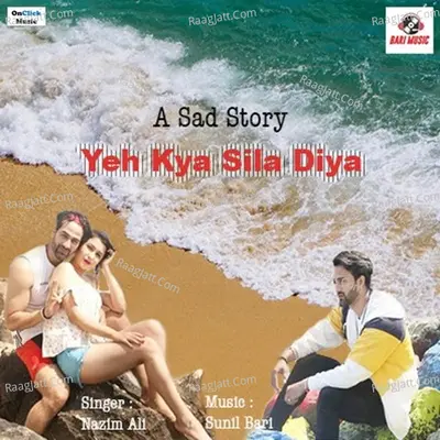 Yeh Kya Sila Diya Cover