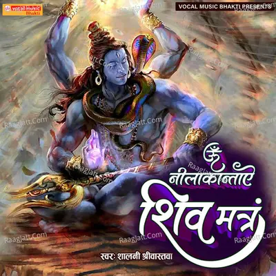 Om Nilkanthaye Shiv Mantra Cover