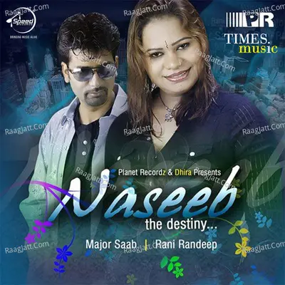 Naseeb The Destiny Poster