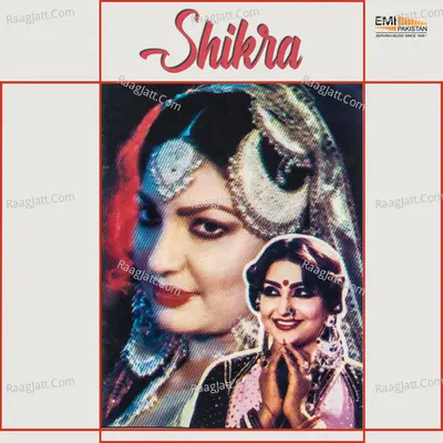 Shikra Poster