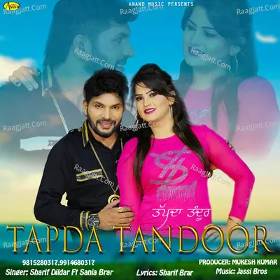 Tapda Tandoor Cover