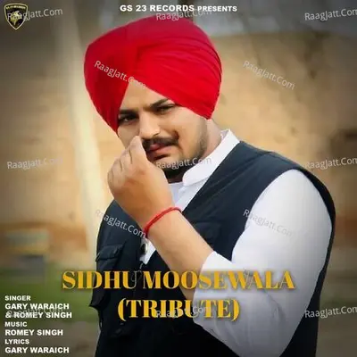 Romey Singh Image