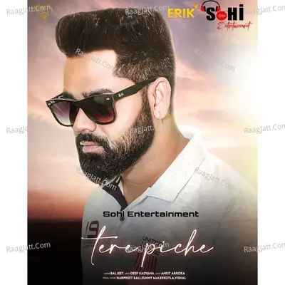 Tere Piche Cover