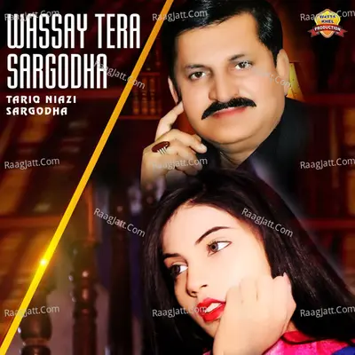 Wassay Tera Sargodha Poster