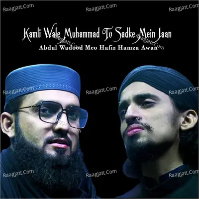 Hafiz Hamza Awan Image