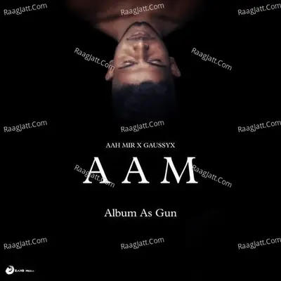 Aam (Album As Gun) Cover