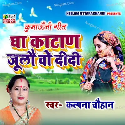 Gha Katan Joolau Wo Didi Cover