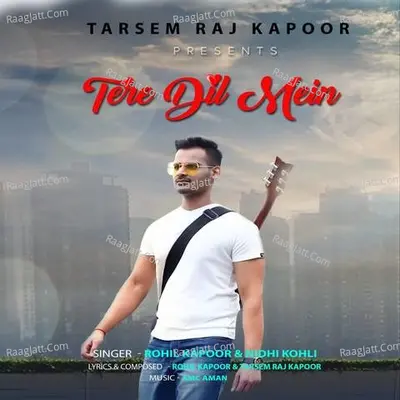 TERE DIL MEIN Cover
