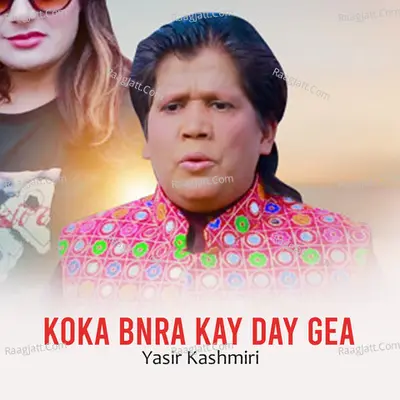 Yasir Kashmiri Image