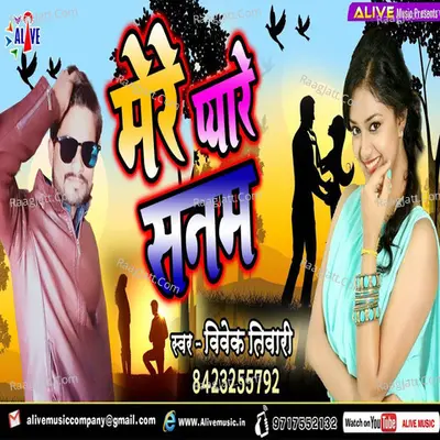 Mere Pyare Sanam Cover
