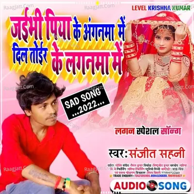Dil Toir Ke Laganma Mai Cover
