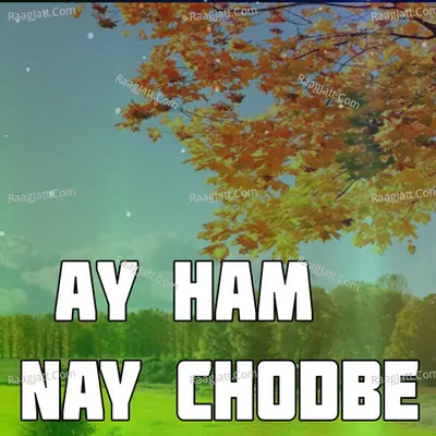 Ay Ham Nay Chodbe